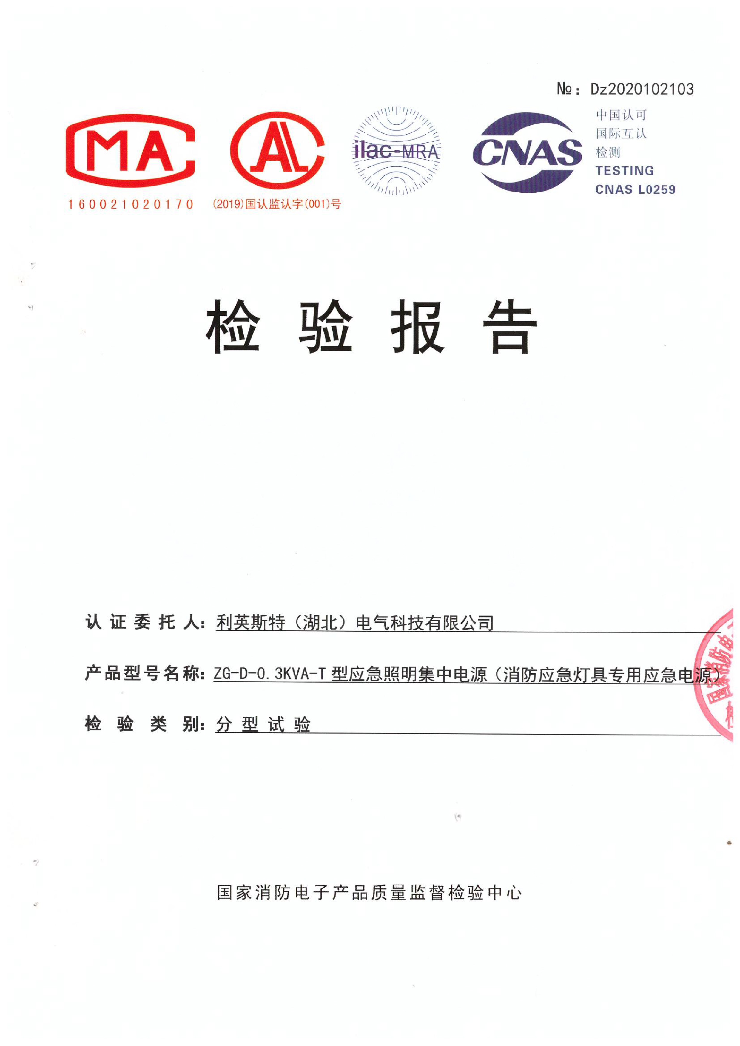 集中电源ZG-D-1KVA-T